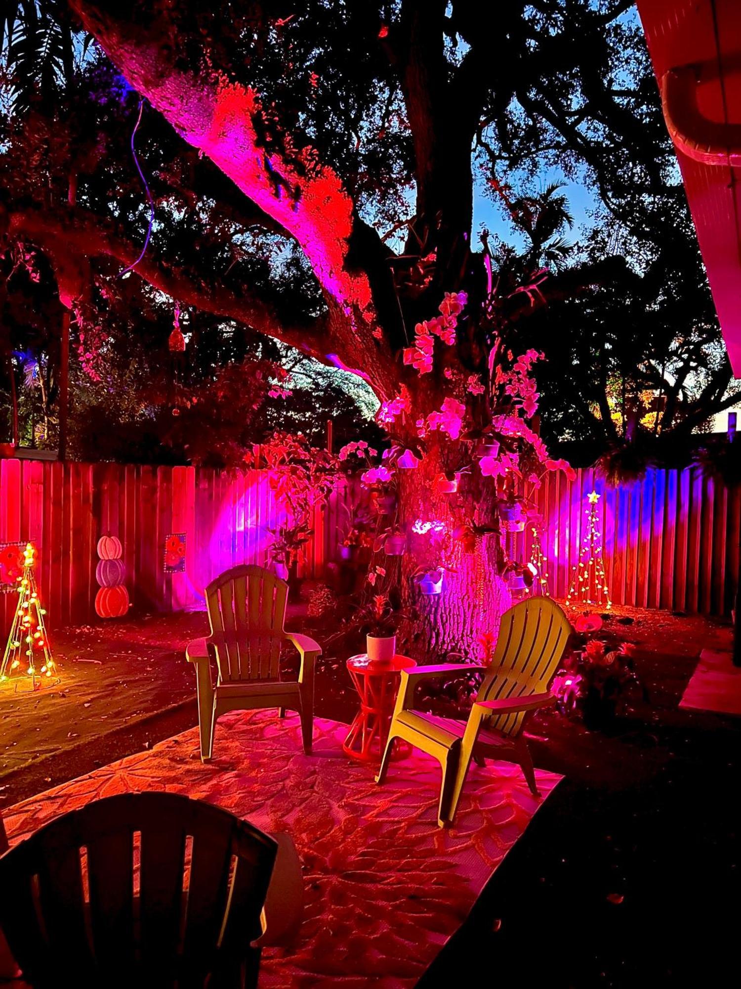 מיאמי Private Guest House מראה חיצוני תמונה